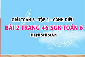 Giải bài 2 trang 46 Toán 6 Tập 1 SGK Cánh Diều: Phân tích ra thừa số nguyên tố
